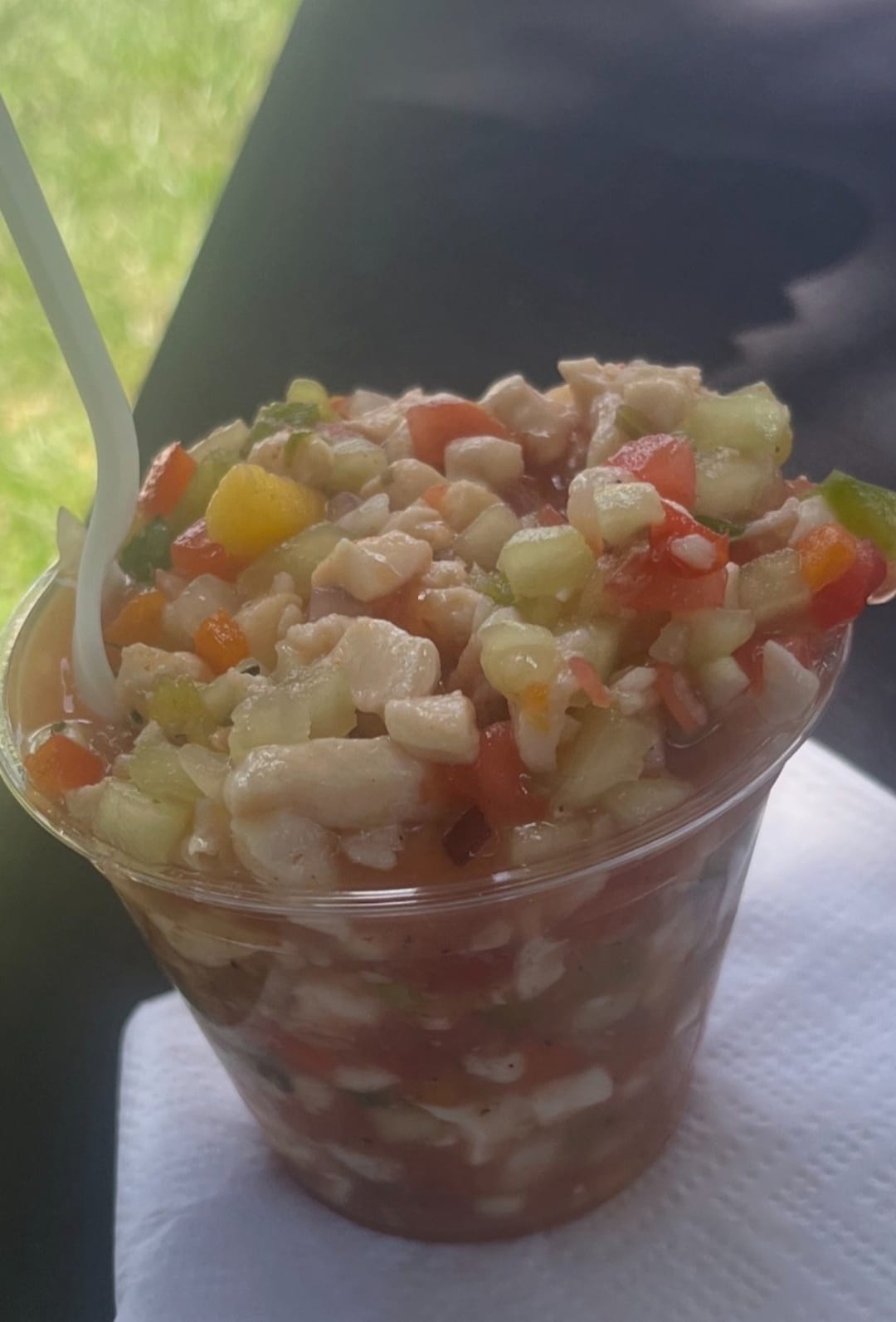 Conch Salad